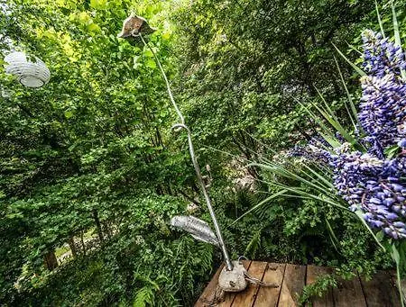 Glamping Nowe